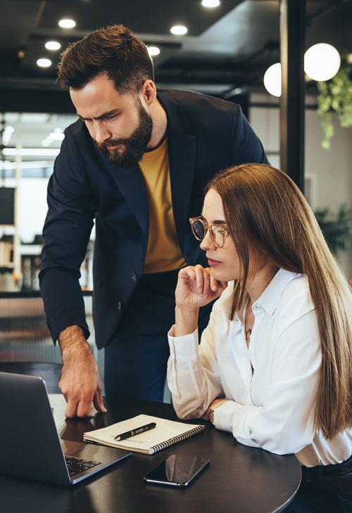 Understanding The Projects